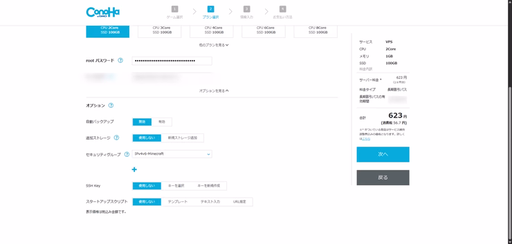 ConoHaのオプション追加画面で、追加ディスクや自動バックアップの選択項目が表示されている