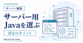 マイクラサーバー用Javaのインストール方法をバージョン別に示すサムネイル