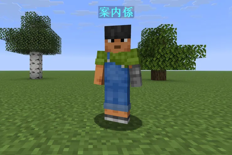 平地に立つ、水色の「案内係」という名前が頭上に出たプレイヤー型のNPCを撮ったゲーム画面