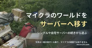 草むらに段ボール箱がいくつも置かれた写真と、マイクラのワールドをレンタルサーバーへ移す方法の記事見出し。参考写真で、マイクラのゲーム画面ではない