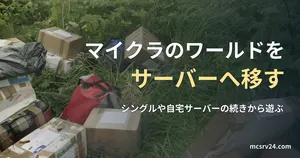 草むらに段ボール箱がいくつも置かれた写真と、マイクラのワールドをレンタルサーバーへ移す方法の記事見出し。参考写真で、マイクラのゲーム画面ではない