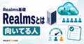 Realmsとは何かを料金・人数・向き不向きで示すサムネイル