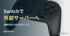 Nintendo Switch Proコントローラーの参考写真と、外部サーバーへの入り方の見出し